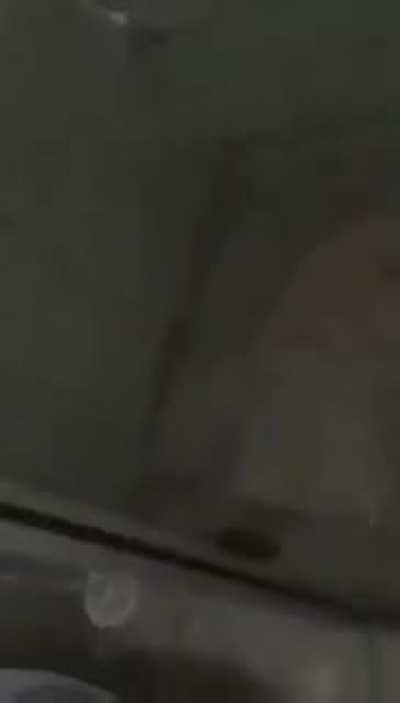 Esse rato invadiu minha casa