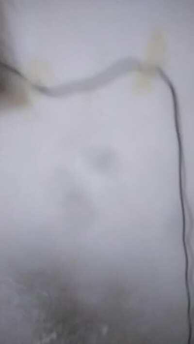 Sua Alexa não cabe na sua mesa sem problemas