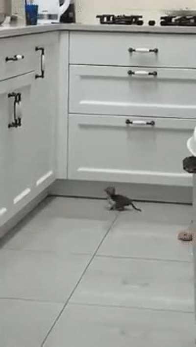 to jump onto the counter