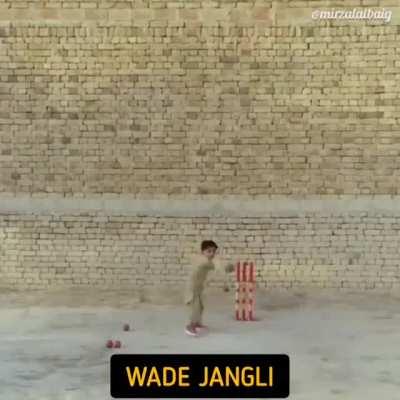 T20 World Cup Roundup pt.4 by MirzaLalBaig