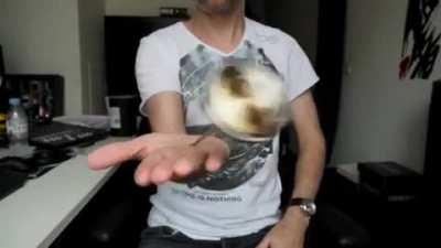 Hypnotic gyroscope..