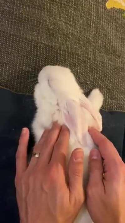 Welcome to the Bunny Spa!