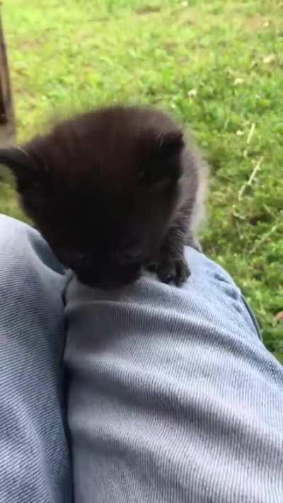 Let loose with a mighty roar.