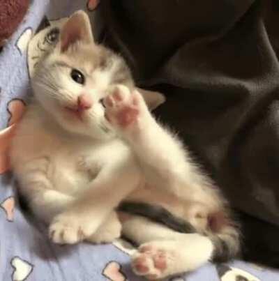Toe beans