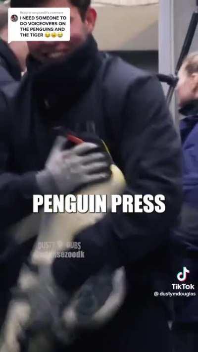 Penguin Prison (by @dustymdouglas)