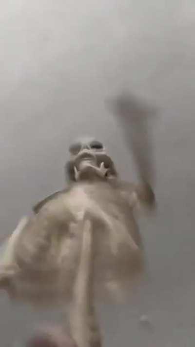 POV: You're Whorena hanging out with Mordickaiser after publishing the last Pentakill album 😍💅