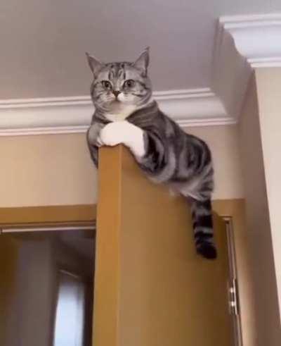 they always find the most uncomfortable places to relax😂