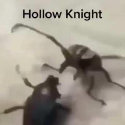 False Knight be like