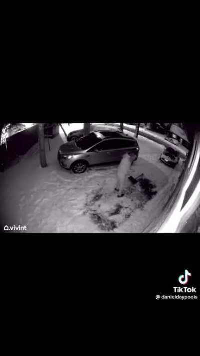 Security camera pranks