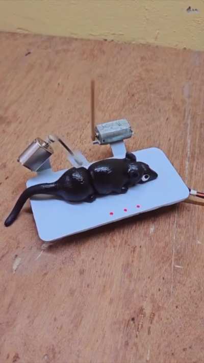 presentation of the Wunkus-detainer