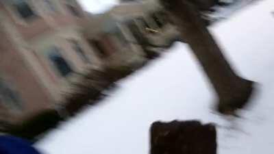 Theft of Last Resort