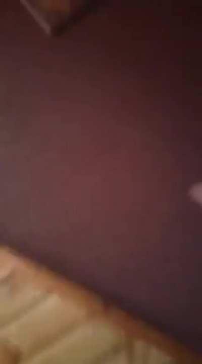 During today's invasion of Ukraine