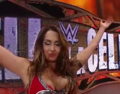 Nikki at Hell in a Cell 2014 IG