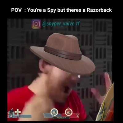 POV : You're a Spy but theres a Razorback