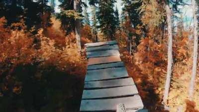 MTB roller coaster 🎢