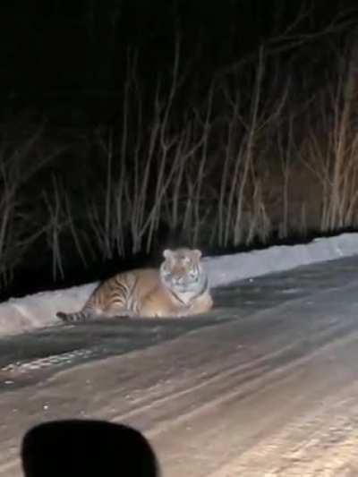 Wild Russian Outdoors Loaf