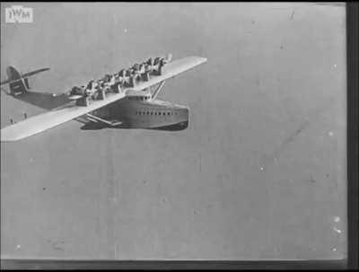 Dornier Do X in flight