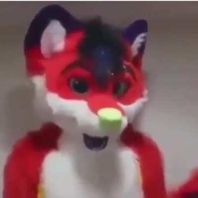 Some advice for yall if you ever encounter the same situation.