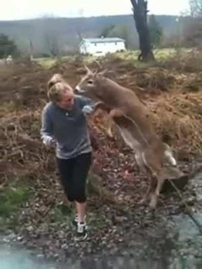 Just wants to be petted