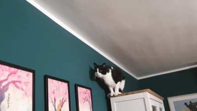 2 AM complex calculus