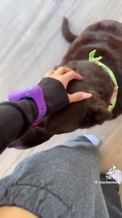 Body is ridiculous 🔥🔥