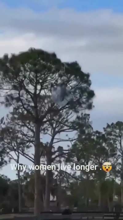 How did they even get him down from there? lol