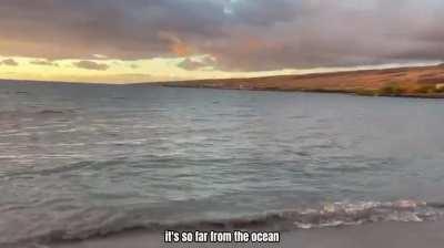 Nature is amazing beach porn