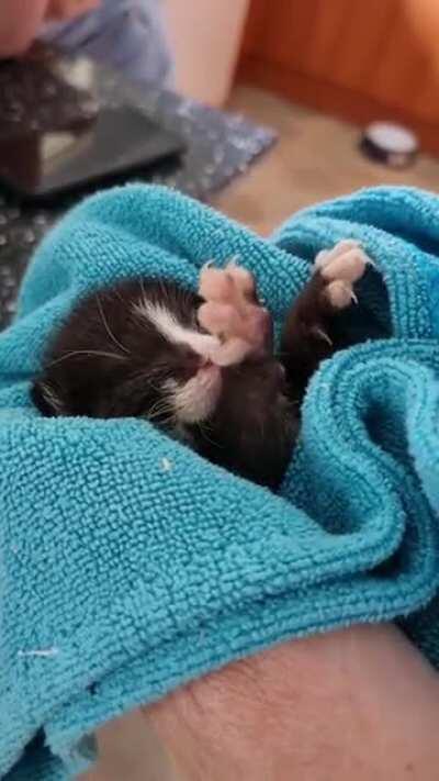 Just the tiniest pair of murder mittens I’ve ever seen!!
