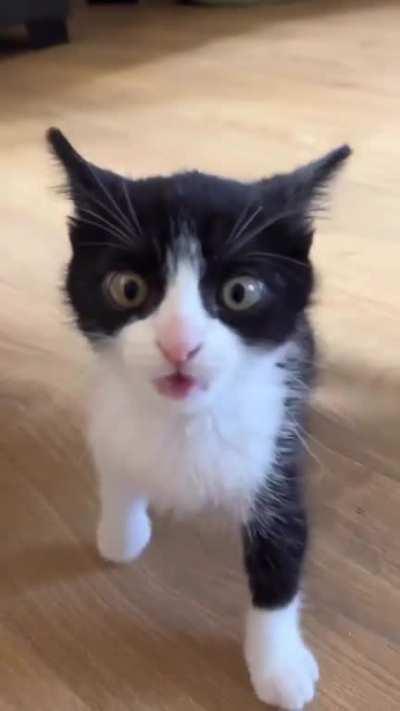 This criminal gets caught jumping an innocent bystander