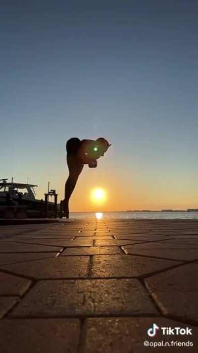 Nothing more romantic than watching the sunset as a furry fractures their wrists 😻