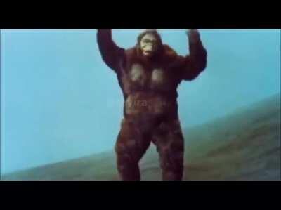 monke vs yürüyen timsah