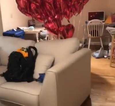 How to keep track of your puppy