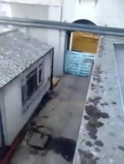 dont think he ever came back out