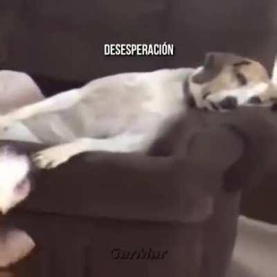 Elige sabía mente 😌