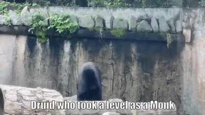 We all know this person