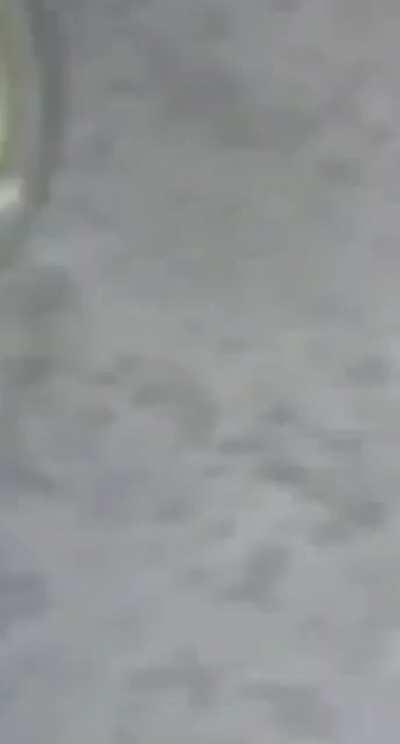 Operation Gigant Terra Balaena