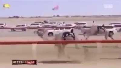 werlyb - Video #8532