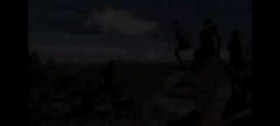 Joe Rogan seal of approval