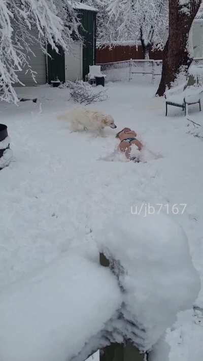 New year, same old bad decisions