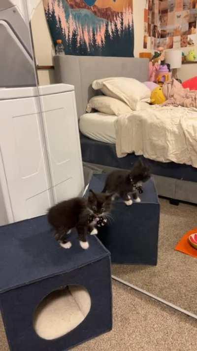 Smol boy, big emotions