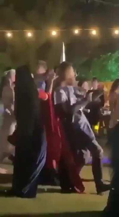 Aragon and Arwen's wedding