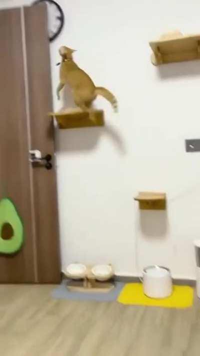 Шило в жопе или тыгдык-тыгдык