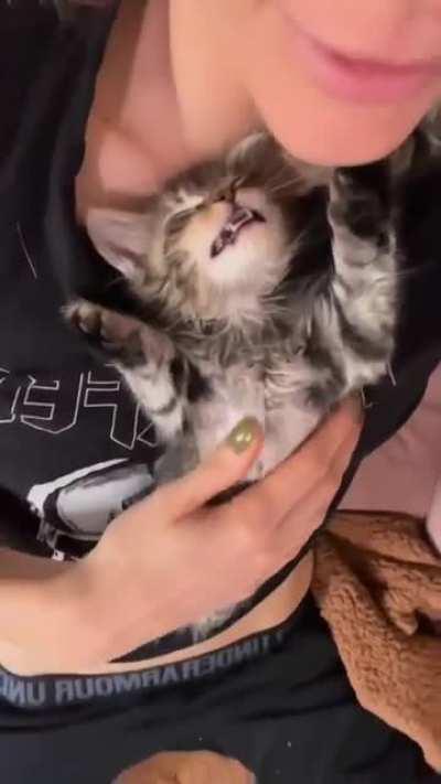 No bed time for me for my smol criminal