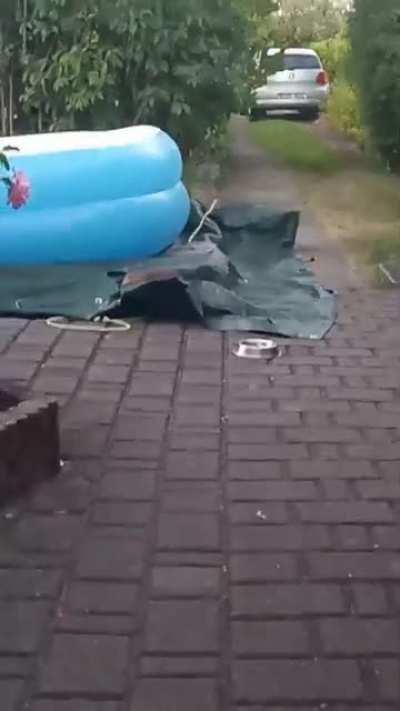 tierischer Besucher zu später Stunde