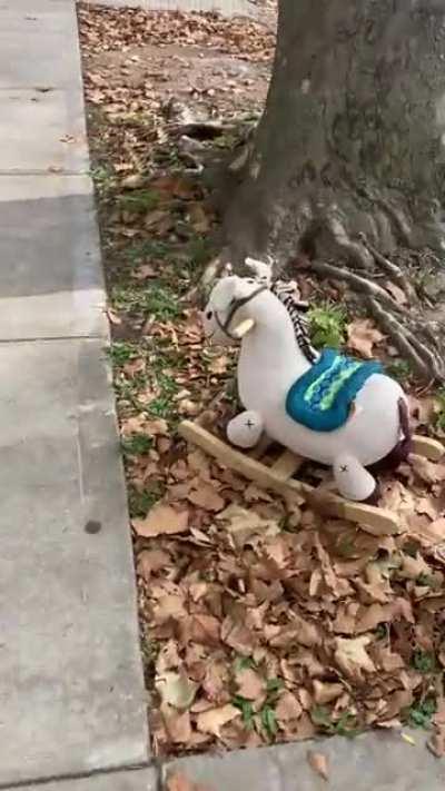 Good doggie wondering why there’s a tiny horse in NYC