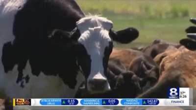 This UNiT stands over 6ft tall.