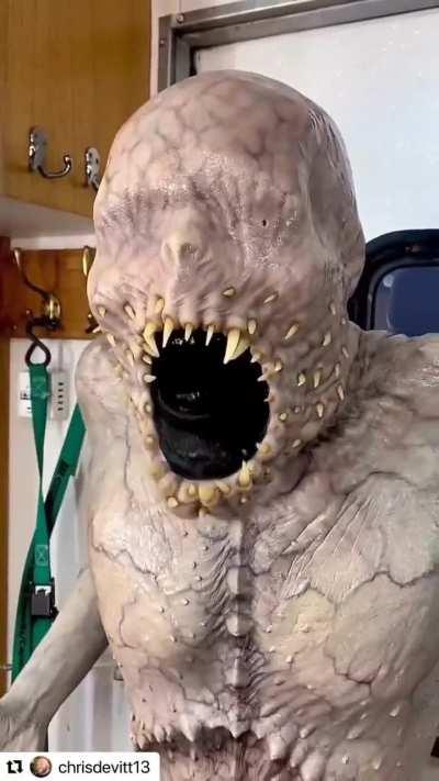 excellent costume for a party!!