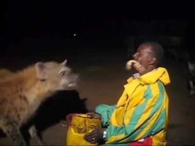Feeding wild Hyenas outside the walled city of Harar, Ethiopia. This tradition has gone on for 300yrs without issue and the hyenas are even allowed to enter the city.