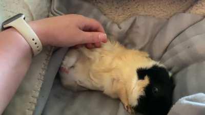 That flop… that was a good flop.