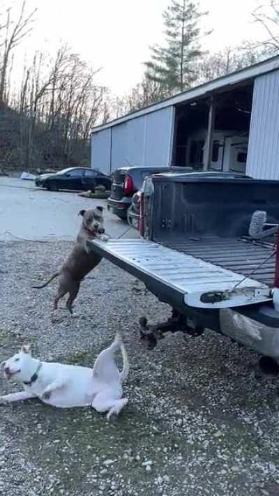 Time to load up boys…..epic fail 😂